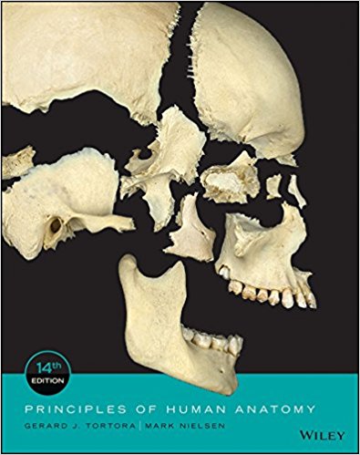 Principles of Human Anatomy, 14th Edition Tortora, Nielsen Real Anatomy Worksheet Answer Keys