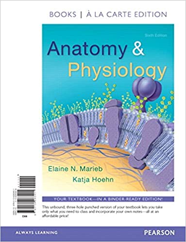 Anatomy & Physiology, 6E Elaine N. Marieb, Katja Hoehn, Test Bank