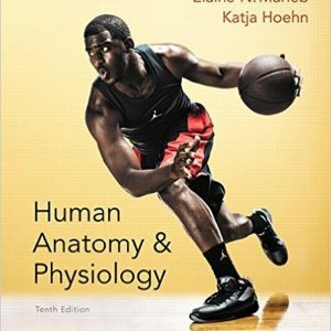 Human Anatomy & Physiology, 10th Edition Elaine N. Marieb, Katja N. Hoehn Test Bank