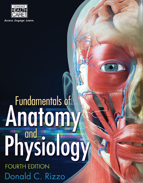 Fundamentals of Anatomy and Physiology, 4th Edition Donald C Rizzo Test Bank