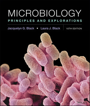Microbiology Principles and Explorations, 10th Edition Jacquelyn G. Black 2018 Test Bank Test Bank